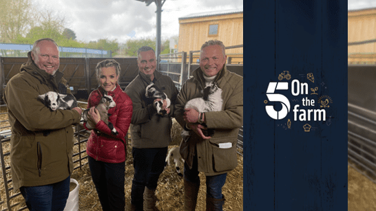 5 on the Farm